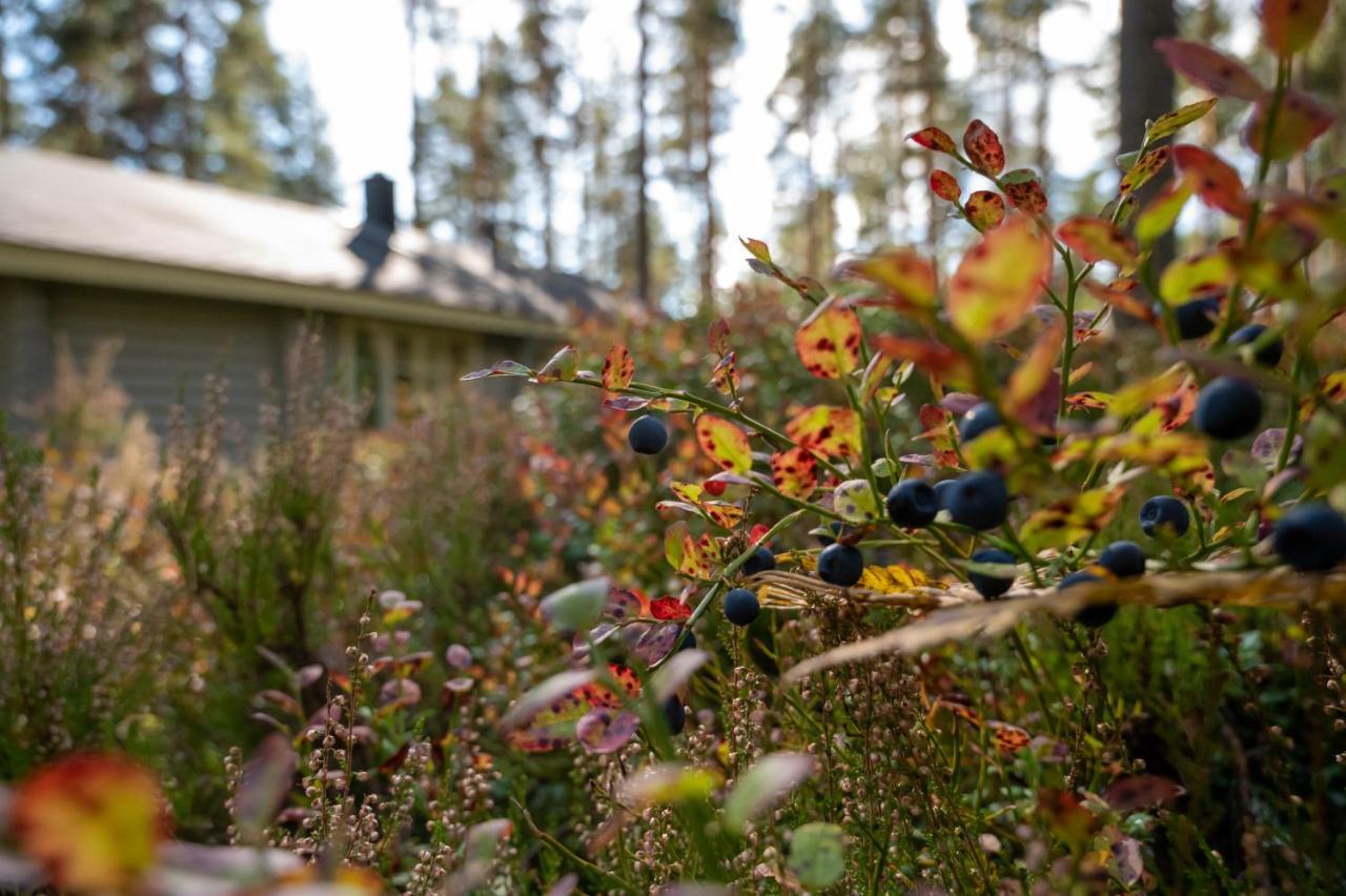 Saimaan Kultaranta Villa Puumala Dış mekan fotoğraf