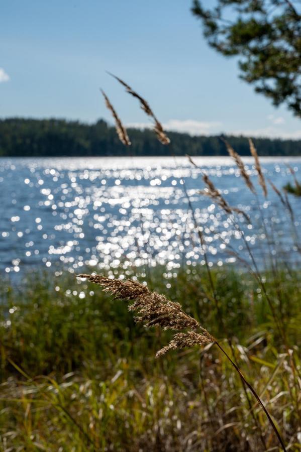 Saimaan Kultaranta Villa Puumala Dış mekan fotoğraf